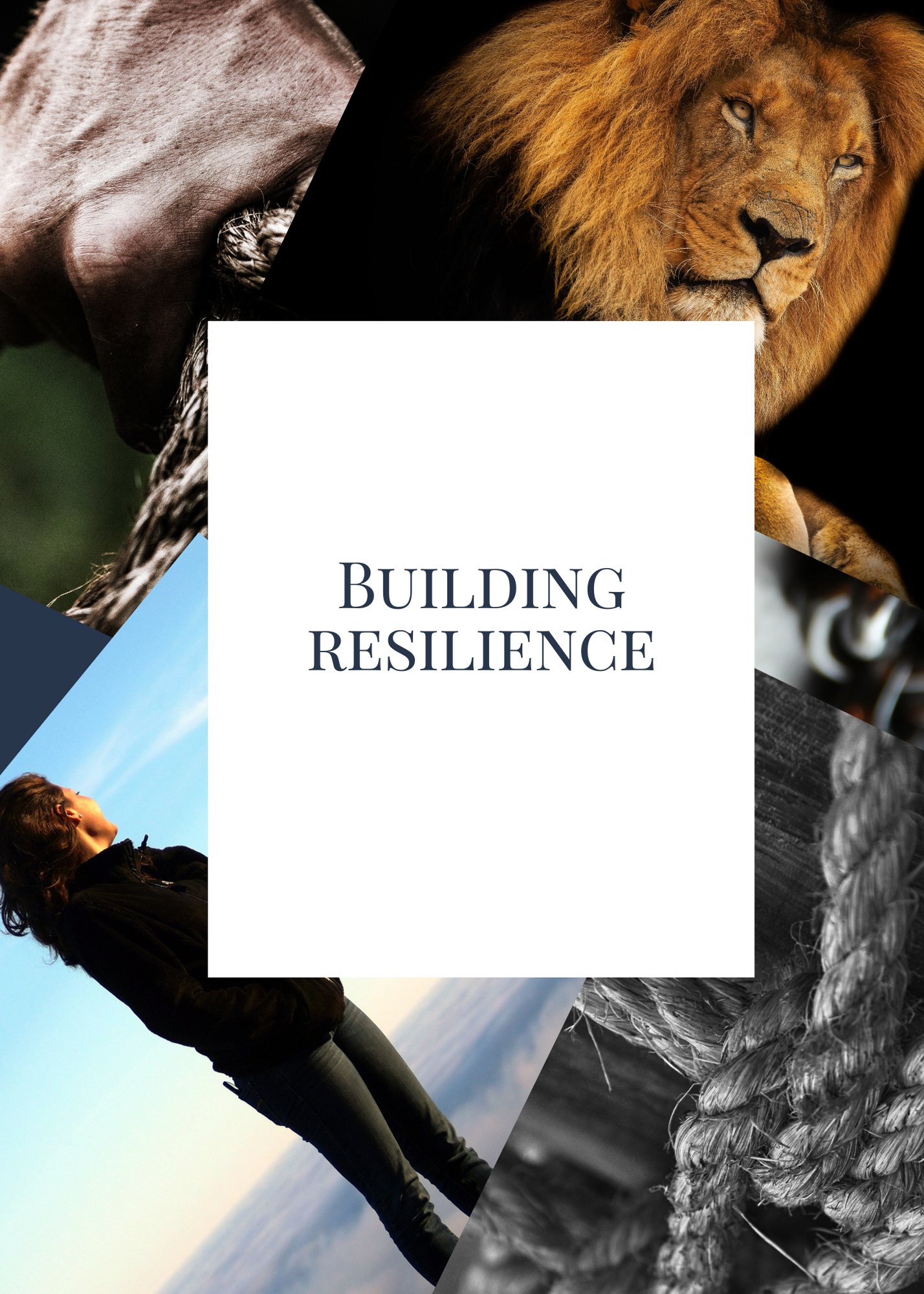 Resilience Training in Northern Ireland